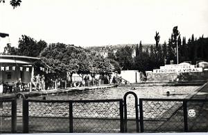 Saida 509- Piscine municipale COLLECTION DES AMIS DE ND DE SANTA CRUZ